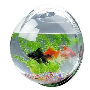 Candora Boule aquarium à accrocher au mur